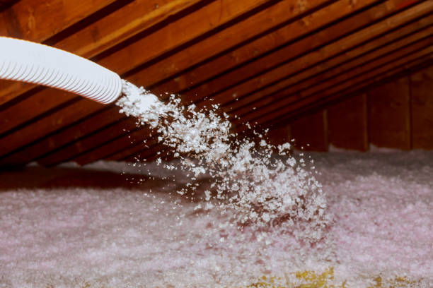 Best Spray Foam Insulation in Sebastian, TX