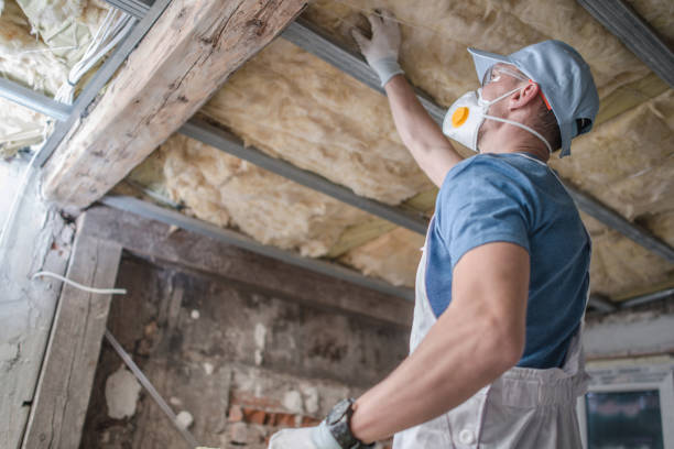 Best Insulation Maintenance and Repair in Sebastian, TX