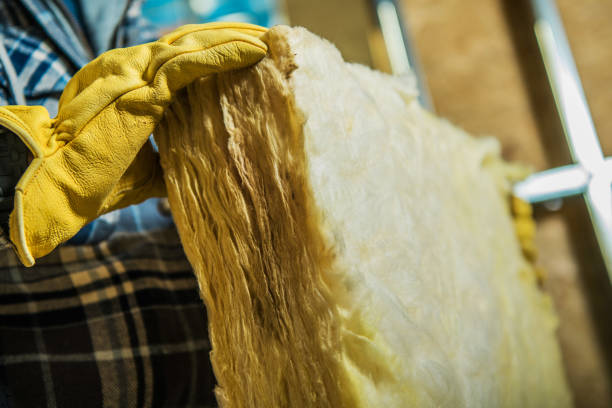 Types of Insulation We Offer in Sebastian, TX