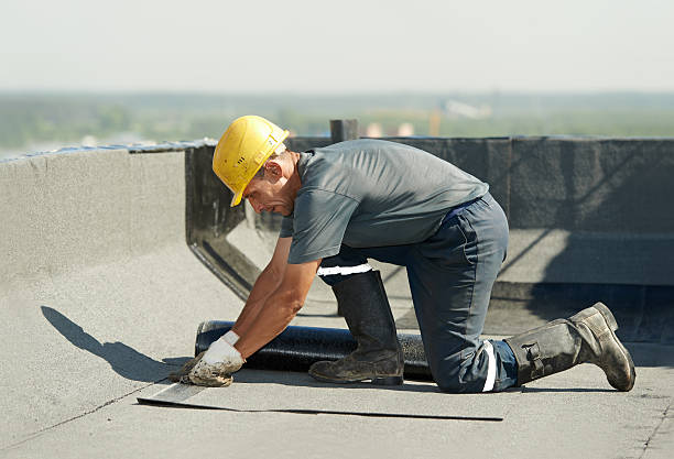 Best Geographic-Specific Insulation Services in Sebastian, TX